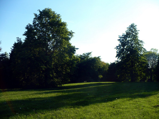 1171036 (a): :2560x1920